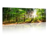 TISHIRON 1 Panel Panoramic Landscape Wall Art Paintings Decor Beautiful Rays of Sunlight in A Green Forest Picture on Canvas for Home Modern Artwork Decorations Living Room - 12" Wx46 H