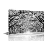 TISHIRON 1 Panel Wall Art Decor Painting on Canvas Black and White Pictures for Home Walls Oak Road Office Wall Art Framed Nature Landscape Modern Artwork for Living Room Bedroom, 24x16in