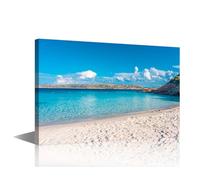 TISHIRON 1 Panel Wall Art For Office Amazing beach of Spargi island Maddalena Archipelago Sardinia Italy Poster for Meeting Room Study Canvas Framed Ready To Hang Wall Decor (16" Wx24 H)