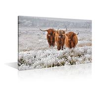 TISHIRON 1 Panels Scottish Highlanders in A Natural Winter Landscape Giclee Canvas Prints Wall Art for Living Room Modern Stretched and Framed White Winter Landscape Pictures Paintings(16" Wx24 H)
