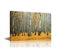 TISHIRON 1 Pieces Trees Framed Wall Art Birch Tree Forest Contemporary Home Decor Wall Art Birch trees in Autumn Bedroom Wall Decor Canvas Paintings Stretched Framed Ready to Hang (16" Wx24 H)