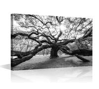 TISHIRON Angel Oak Tree Wall Art for Bedroom Black and White Wall Decor Tree of Life Framed Canvas Art Pictures House Deocrations for Living Room Office Large Wall Art Framed Ready to Hang - 24x16in