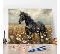 TISHIRON Animal Paint by Numbers for Adults Vintage Nostalgic Black Horse in White Flower Field Adults' Paint-by-Number Kits Paint by Number Kits On Canvas for Wall Decor, 16x20 Inch, Frameless