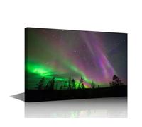 TISHIRON Aurora Borealis Wall Pictures for Living Room Natural Landscape Painting on Canvas Wall Decor Art Abstract Above Boreal Forest Bedroom Wall Art Modern Artwork Framed Ready to Hang 24x16 in