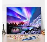 TISHIRON Aurora Paint by Numbers Kits, Colorful Aurora Frameless DIY Oil Painting Nature Paint by Numbers for Adults Beginner, Modern Scenery Paint by Number, Modern Home Decor 16x20 Inch