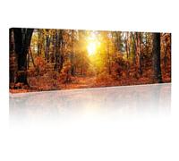 TISHIRON Autumn Forest Panorama Wall Art for Living Room Canvas Modern Home Decor Panorama of Forest in A Sunny Autumn Day House Decorations Artwork Posters and Prints 1 Panel(12x46 Inch)