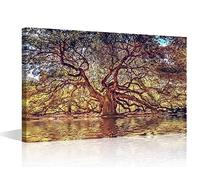 TISHIRON Black and White Canvas Wall Art Print Old Oak Wall Art for Bedroom Lake Natural Landscape Wall Decor Art Paintings Modern Giclee Artwork for Office Home Decor Ready to Hang, 18x12in