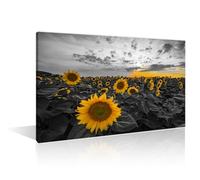 TISHIRON Black and White Plant Sunflower Canvas Wall Art Floral Plant Wall Art for Living Room Bedroom Modern Home Decor Office Bathroom Decorations Artwork 1 Piece Framed Ready to Hang (12" Wx18 H)