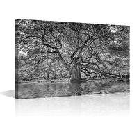 TISHIRON Canvas Wall Art for Living Room Old Oak Modern Home Decor Natural Landscape HD Printed Posters Artwork for Bedroom Office Branch Wall Art Painting Lake Bathroom Pictures Ready to Hang 24x16in