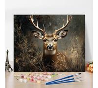 TISHIRON Deer Paint by Numbers Kit for Adults Beginner DIY Colorful Wildlife Paint-by-Number Kits On Canvas Oil on Canvas Animal Portraits Paintings for Home Office Wall Decor 16x20 inch Frameless