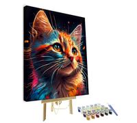 TISHIRON DIY Paint by Rainbow Number Abstract Colourful Cat Paint by Numbers for Adults Animal Paint by Numbers Kits on Canvas for Home Wall Decor Acrylic Paint by Number Kits for Kid- 16x20inchFramed