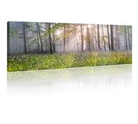 TISHIRON Foggy Sunrise Wall Art for Living Room Alpine Canvas Modern Home Decor Panorama Pictures House Decorations Carpathian Forest at Dawn Artwork Posters and Prints 1 Panel(12" Wx46 H)