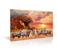 TISHIRON Home Decor Group of Zebras in the African Savanna at Sunset Paintings Wall Art 1 Pieces Serengeti National Park Wild Animal Home Decor Posters and Prints Framed Ready to Hang (24" Wx36 H)