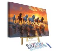 TISHIRON Horse Paint by Numbers for Adults, DIY Animals Acrylic Paint by Number Kits on Canvas, Sunset Beach Oil Painting for Gift Home Wall Decor Art Crafts 16"x20"(Framed)