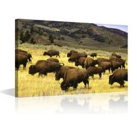 TISHIRON House Decorations Bison Grazing Wall Pictures for Living Room Mountain Landscape Nature Canvas Wall Art Modern Wall Painting 1 Panel Prints Wall Art on Canvas Framed Ready to Hang, 18x12in