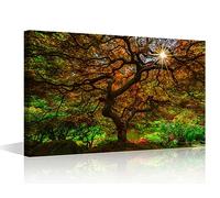 TISHIRON Maple Tree Wall Art for Living Room Washington Park Wall Decor Framed Wall Painting Portland Canvas Prints Pictures House Decoration for Bedroom Modern Artwork Office Wall Art, 18x12in