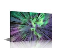 TISHIRON Northern Lights Wall Art for Living Room Aurora Borealis Canvas Wall Art Eastern Finland Landscape Pictures Posters Modern Wall Decor Art for Bedroom Office Framed Ready to Hang 36x24 in