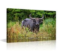 TISHIRON Office Wall Art Water Buffalo Large Canvas Wall Art Cattle Contemporary Modern Artwork Bull Pictures Wall Art for Living Room Bedroom Nature House Decorations Framed Ready to Hang - 18x12in