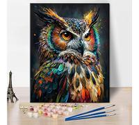 TISHIRON Owl Painting by Number for Adults Abstract Animal Paint by Number, Delicate Animal Paint by Numbers for Home Decor, DIY Oil Painting with Brushes and Pigment, 16x20 Inch, Frameless