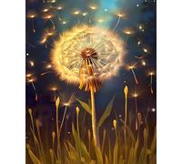 TISHIRON Paint by Number for Adult, Dandelion Paint by Numbers, Dandelion Seed Field Adult Paint by Numbers Kits on Canvas, 16X20 Inch Starry Night Sky Paint by Numbers for Adults Beginner Frameless