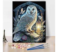 TISHIRON Paint by Numbers for Adults Beginners, Adult Crafts, Owl Reads a Book, Adult Paint Board Set on Canvas, Magic Owl DIY Oil Paint Board for Home Decoration, 40 x 50 cm (Frameless)