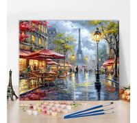 TISHIRON Paint by Numbers for Adults - DIY Adult Paint by Number Kits Painting on Canvas Romantic Cityscape Painting by Numbers for Beginners, Art Craft Kits for Adults, 16x20 Inch(Frameless)