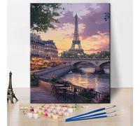 TISHIRON Paint by Numbers Kit for Adults - Paris Cityscape with Eiffel Tower and Bridge Over River, Urban Landscape Painting by Number Kit for Adults Beginner, Relaxing Arts and Crafts, 16x20 Inch