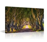 TISHIRON Tree Tunnel at Sunset Wall Decor for Bedroom Living Room Road Wall Art Paintings Northern Ireland Pictures Canvas Modern Wall Artwork Home Decorations Office Wall Art Framed - 24x16in