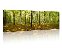 TISHIRON Wall Decorations for Living Room Autumn Forest Trees Wall Art Nature Green Wood Sunlight Landscape Pictures Paintings Artwork Home Decor for Living Room Ready to Hang - 12" Wx46 H