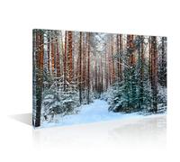TISHIRON Winter Forest Wall Decor Posters and Prints 1 Panels Pine Forest Winter Pictures Wall Decor for Bedroom Natural Landscape Art Prints Framed Ready to Hang (16" Wx24 H)