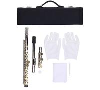 Tissting 16 Key C Flute, Closed Hole Cupronickel Instrument with Offset G Key, Professional 16-Key Student Flute with Case & Accessories for Beginners & Intermediate Players