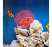 Tissting Artificial Coral Plants, Lifelike PVC Aquarium Decor with Weighted Base for Fish Tank, Tropical Reef Design for Marine Enthusiasts, Aquatic Charm for Home or Office