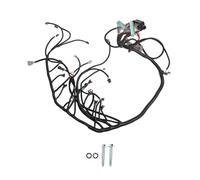 Tissting LS Standalone Wiring Harness DBW 4L60E, Compatible with 4L70E 4L75E Transmission Drive by Wire Throttle Body EV1 Injectors Rear Mount Camshaft Sensor for 97-04 Gen III LS