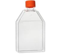 Tissue Culture Flask Vented Cover, 25cm2& 75cm2 Size, TC Treated, No Enzyme Design 25cm2