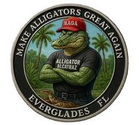 Tisujune Florida Challenge Coin - Commemorative Florida Challenge Coin - Commemorative Souvenir Keepsake for Women Men Enthusiasts History Buffs Lovers