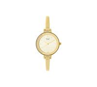 Titan Raga Viva Analog Beige Dial Women's Watch NM2575YM01/NN2575YM01/NP2575YM01, Silver, Free Size, Classic