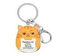 Titanape Cute Cat Gift for Cat Lovers, Stainless Steel Funny Ginger Cat Keyring, You're Pawsome Pawsitive Pocket Hug, Sarcastic Cheer Up Gift for Friend, Brother, Cat Dad