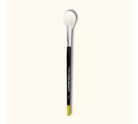 Titanic Brush Co. No. 207 - Highlighter Fan In Black Black One Size