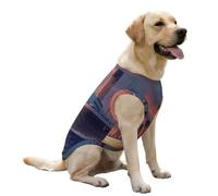 Titanic Sailing Ship on The Sunset Dog Shirt Pet Vest Breathable Clothes Lightweight Tank Sleeveless Top