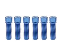 Titanium Bolts Set - 6 Pieces M7/M8 x 20/25mm with Washers for Bicycle Stem and Motor Bike