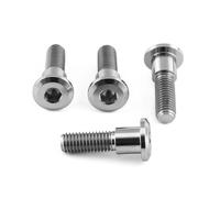 Titanium Disc Bolts Natural Triumph Bobber 2017-2020
