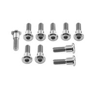 Titanium Disc Bolts Natural Triumph TT600 2000-2003