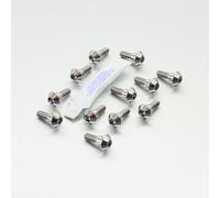 Titanium Disc Bolts Natural Yamaha XJR1300 2003-2014