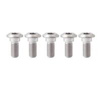 Titanium Motorcycle Brake Disc Screw Rotor Bolts Fastener M8*20 25 30mm for Floating Wheel Disk Fixing(Titanium,5pcs M8x30mm)
