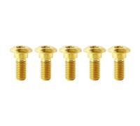 Titanium Motorcycle Brake Disc Screw Rotor Bolts Fastener M8*20 25 30mm for Floating Wheel Disk Fixing(Gold,5pcs M8x25mm)