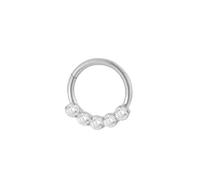 Titanium Nose Ring Hoop, 1pcs 16GHoop Tragus Helix Piercing Jewellery Hoop with 5Pcs Cubic Zirconia, Silver, Style 1