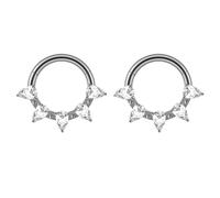 Titanium Nose Ring Hoop, 2pcs 16GHoop Tragus Helix Piercing Jewellery Rings with Pear Shape Cubic Zirconia, Style 17-Silver