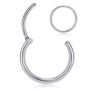 Titanium Nose Rings 20G 18G 16G Nose Rings Hoops Septum Clicker Hinged Segment Ring Cartilage Helix Tragus Conch Daith Rook Hoop Earring, Diameter 5mm to 12mm Silver-Gold-Rose Gold-Black Hoop Ring