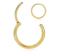 Titanium Nose Rings 20G 18G 16G Nose Rings Hoops Septum Clicker Hinged Segment Ring Cartilage Helix Tragus Conch Daith Rook Hoop Earring, Diameter 5mm to 12mm Silver-Gold-Rose Gold-Black Hoop Ring