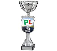 Titans Driving Test Pass Trophy,Award,190mm,FREE Engraving (TQ15102A)